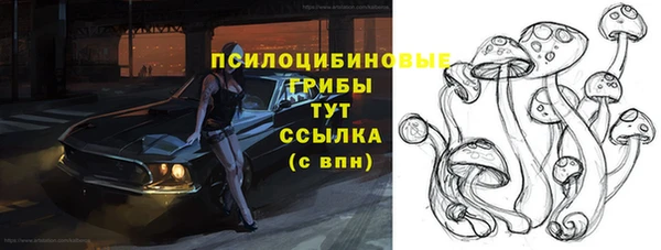mix Гусиноозёрск