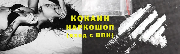 ПСИЛОЦИБИНОВЫЕ ГРИБЫ Гусь-Хрустальный