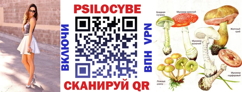Галлюциногенные грибы Magic Shrooms  Купить где  Уржум 